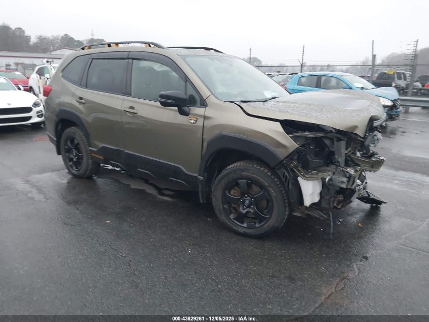 SUBARU FORESTER WILDERNESS