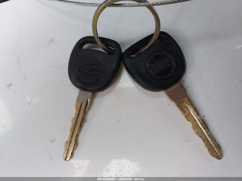 2002 Chevrolet Silverado 1500 Ls VIN: 2GCEC19V421424922 Lot: 43829299