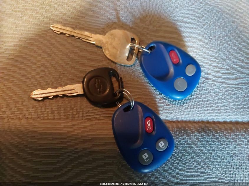 2005 Chevrolet Trailblazer Ls VIN: 1GNDT13S852295881 Lot: 43829338