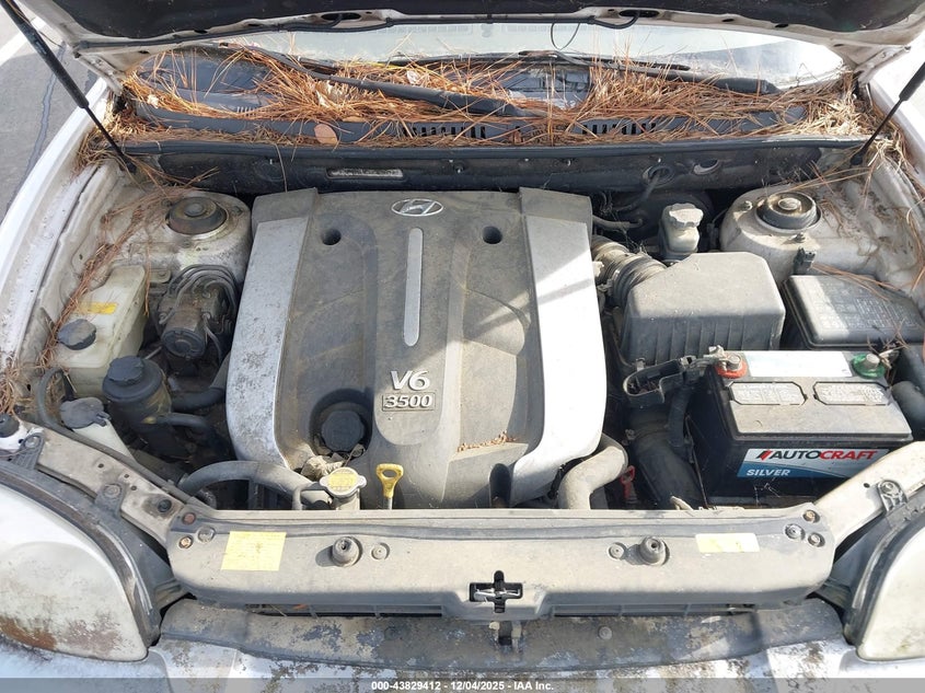KM8SC13E15U920471 2005 HYUNDAI SANTA FE photo no. 10