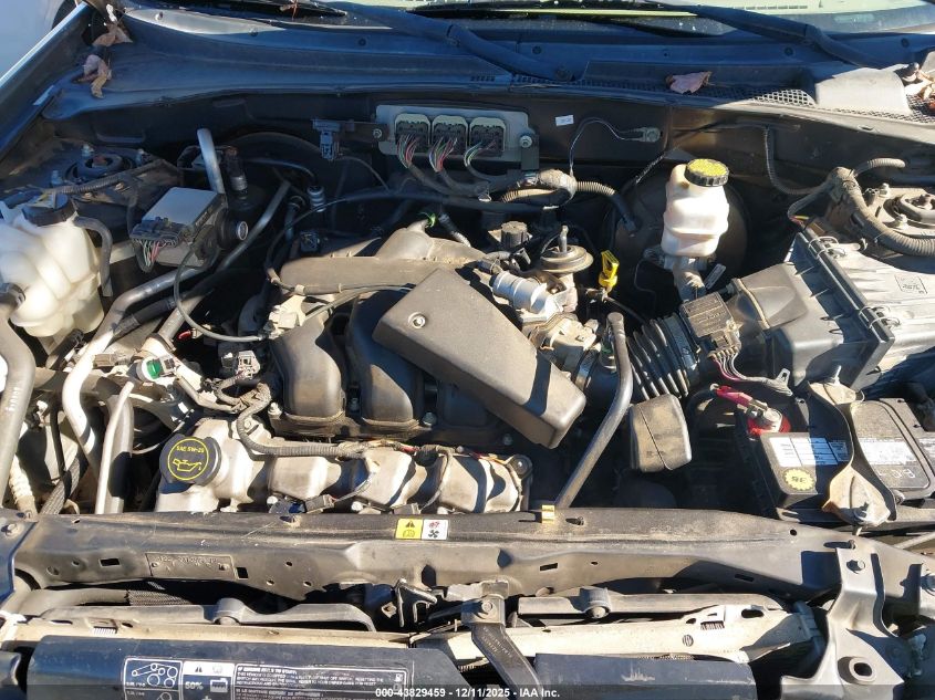 2007 Ford Escape Xlt/Xlt Sport VIN: 1FMYU93117KA50142 Lot: 43829459