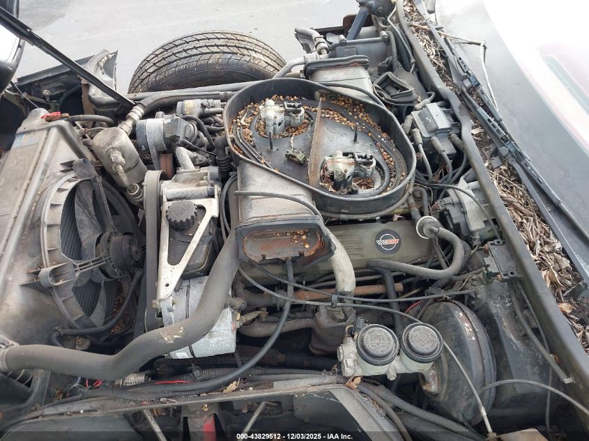 1984 Chevrolet Corvette VIN: 1G1AY078XE5105561 Lot: 43829512