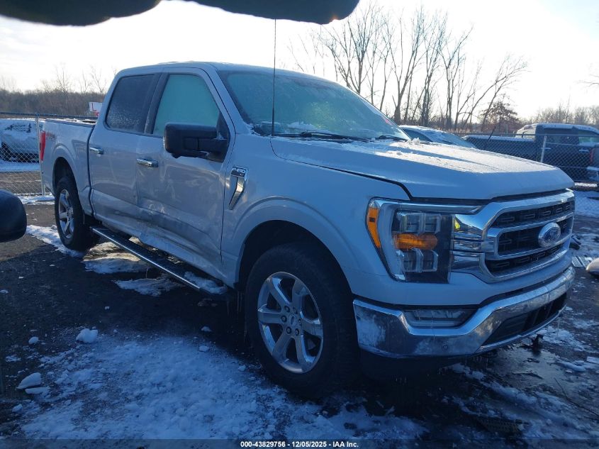 FORD F-150 XLT