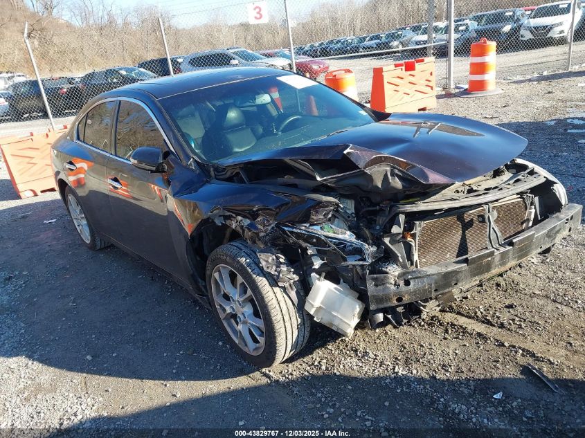 NISSAN MAXIMA 3.5 SV