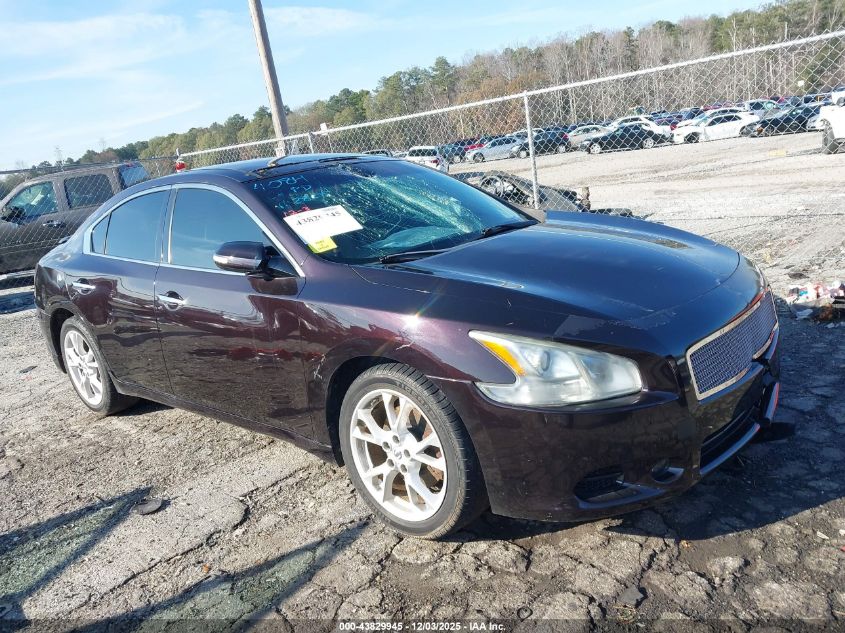 NISSAN MAXIMA 3.5 SV