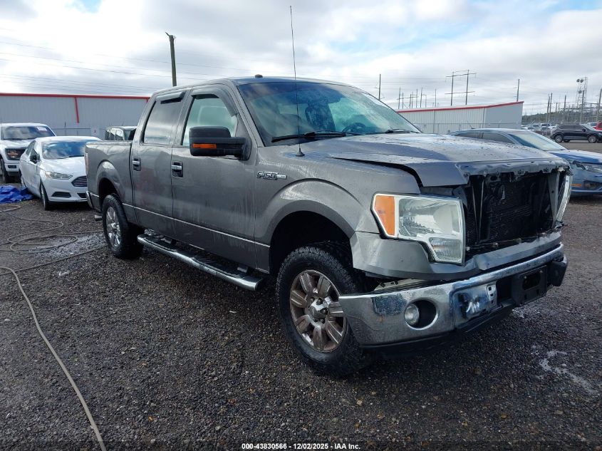FORD F-150 XLT