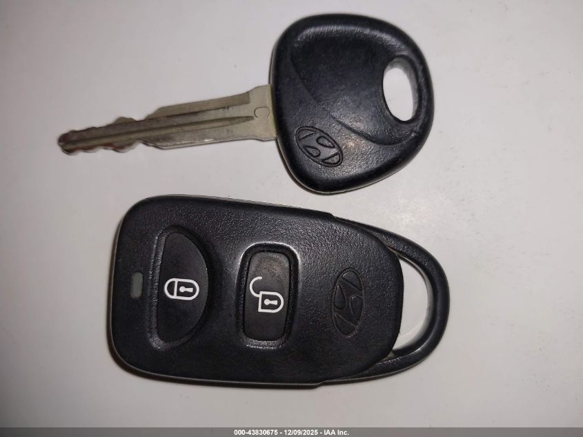 2008 Hyundai Santa Fe Gls VIN: 5NMSG13D78H134251 Lot: 43830675