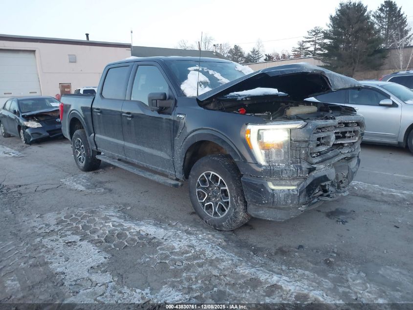 FORD F-150 XLT