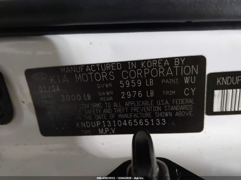 2004 Kia Sedona Ex/Lx VIN: KNDUP131046565133 Lot: 43831012