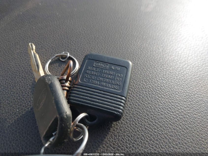 2004 Ford Expedition Eddie Bauer VIN: 1FMPU17L14LB31365 Lot: 43831233