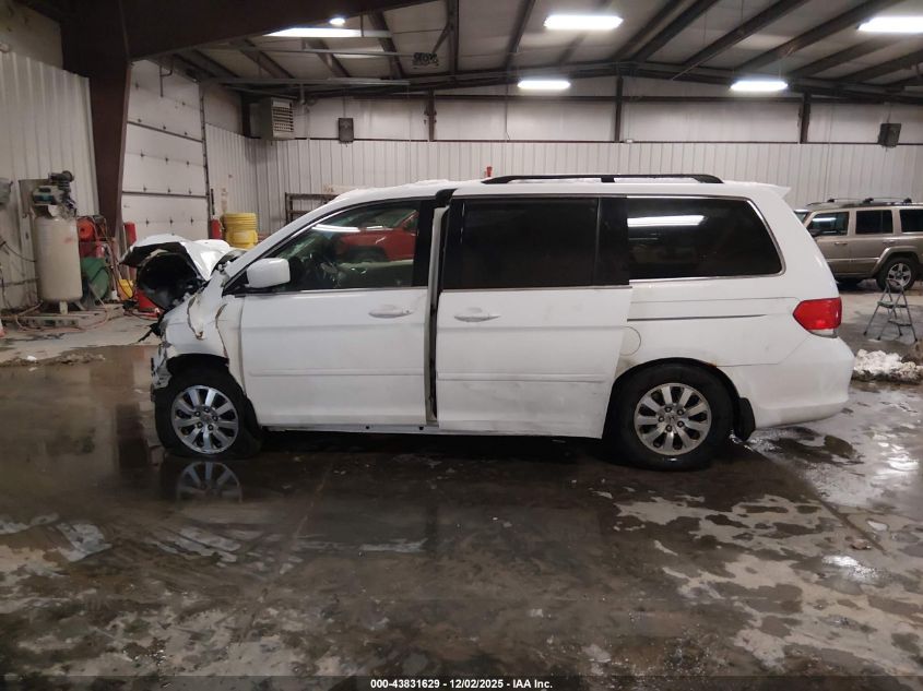 2009 Honda Odyssey Ex-L VIN: 5FNRL38679B407563 Lot: 43831629