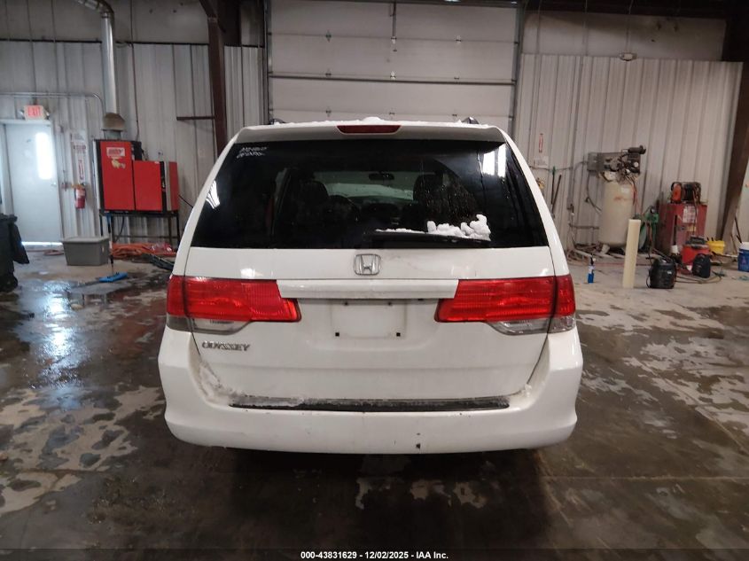 2009 Honda Odyssey Ex-L VIN: 5FNRL38679B407563 Lot: 43831629