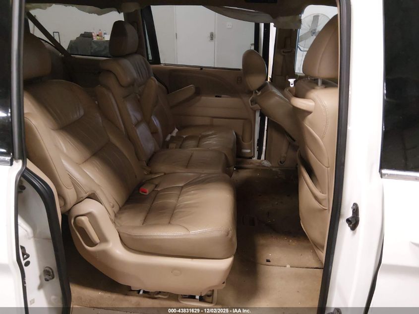 2009 Honda Odyssey Ex-L VIN: 5FNRL38679B407563 Lot: 43831629