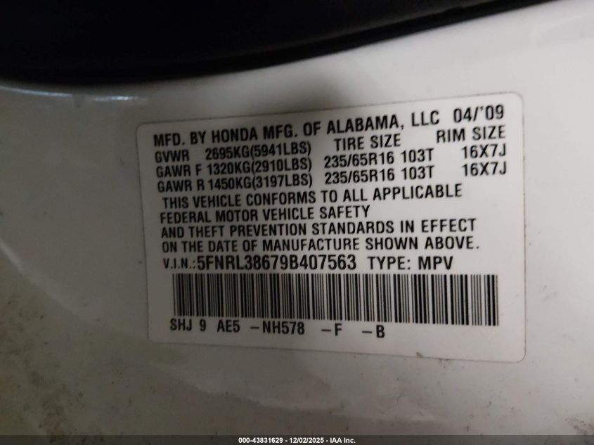 2009 Honda Odyssey Ex-L VIN: 5FNRL38679B407563 Lot: 43831629