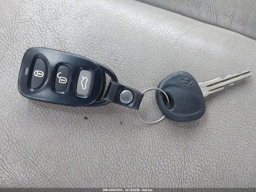 2006 Hyundai Sonata Gls V6/Lx V6 VIN: 5NPEU46FX6H151288 Lot: 43831676