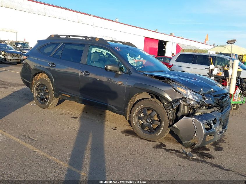 SUBARU OUTBACK WILDERNESS