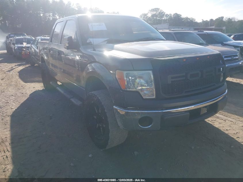 FORD F-150 XL