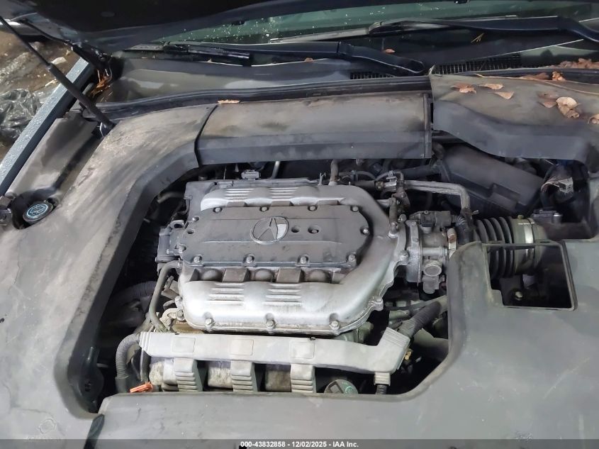 2009 Acura Tl 3.5 VIN: 19UUA86569A011819 Lot: 43832858