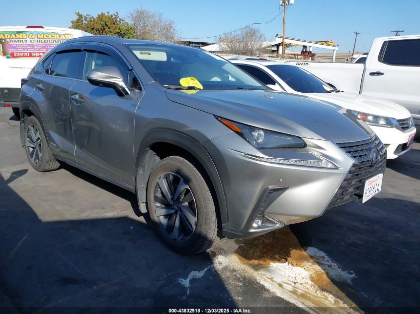 LEXUS NX 300H NX 300H