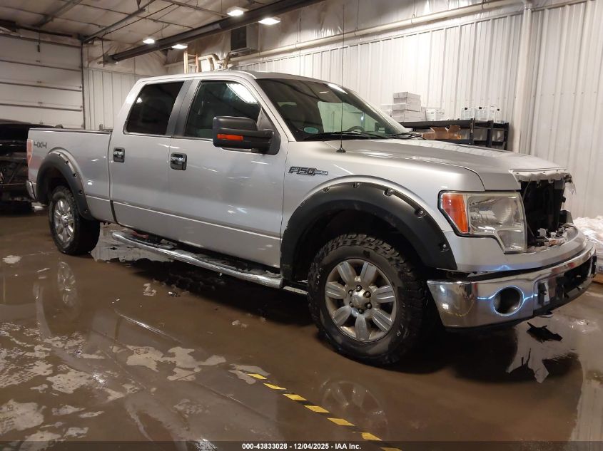 FORD F-150 XLT