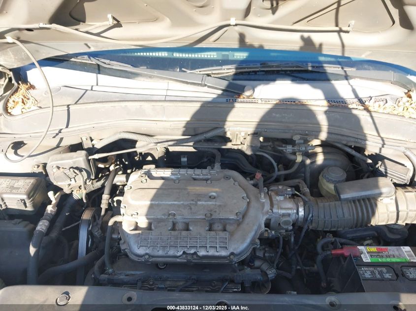 2007 Honda Pilot Ex VIN: 5FNYF184X7B000484 Lot: 43833124