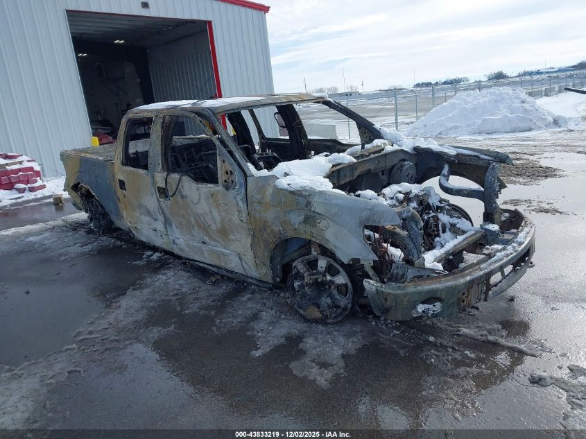 FORD F-150 FX4/HARLEY-DAVIDSON/KING RANCH/LARIAT/PLATINUM/XL/XLT