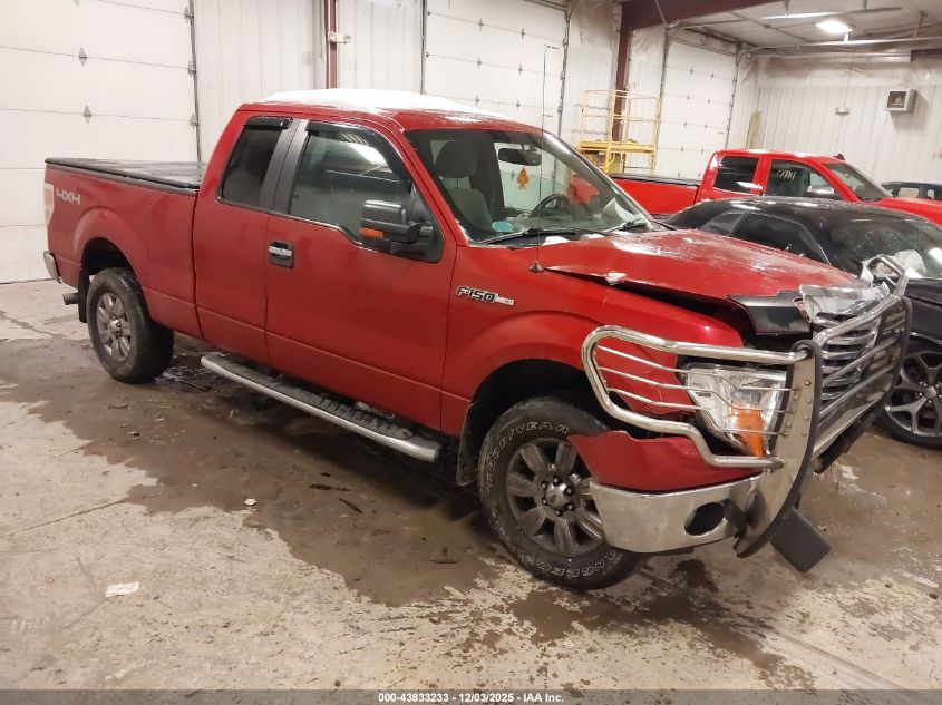 FORD F-150 XLT