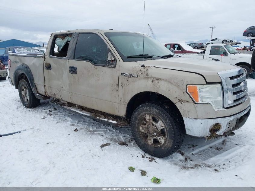 FORD F-150 FX4/HARLEY-DAVIDSON/KING RANCH/LARIAT/PLATINUM/XL/XLT
