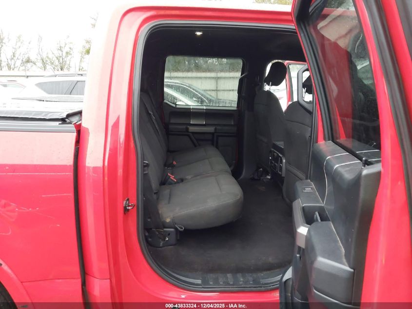 2019 Ford F-150 Xlt VIN: 1FTEW1C58KFD49506 Lot: 43833324