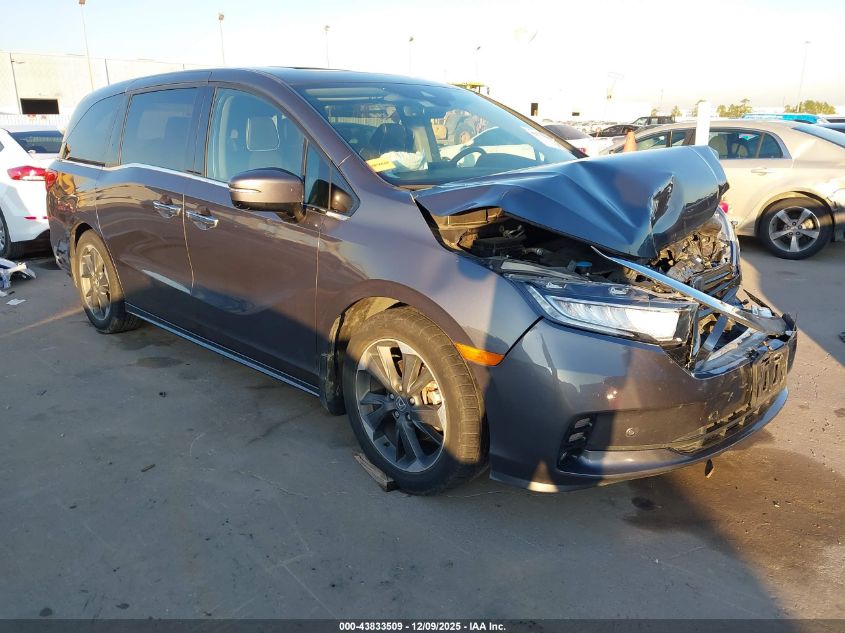 HONDA ODYSSEY ELITE