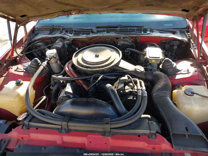 1984 Chevrolet Camaro VIN: 1G1AP87HXEL112720 Lot: 43834101
