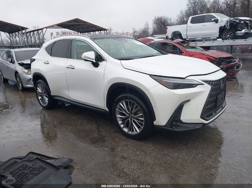 LEXUS NX 350H LUXURY