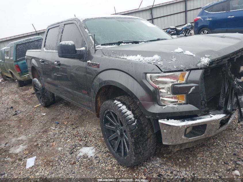 FORD F-150 KING RANCH/LARIAT/PLATINUM/XL/XLT