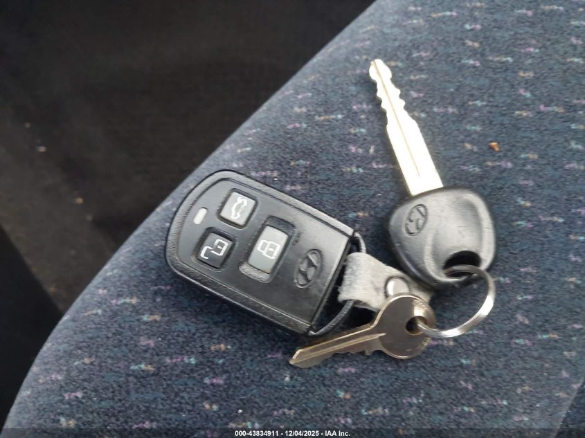 2004 Hyundai Sonata VIN: KMHWF25S04A008920 Lot: 43834911