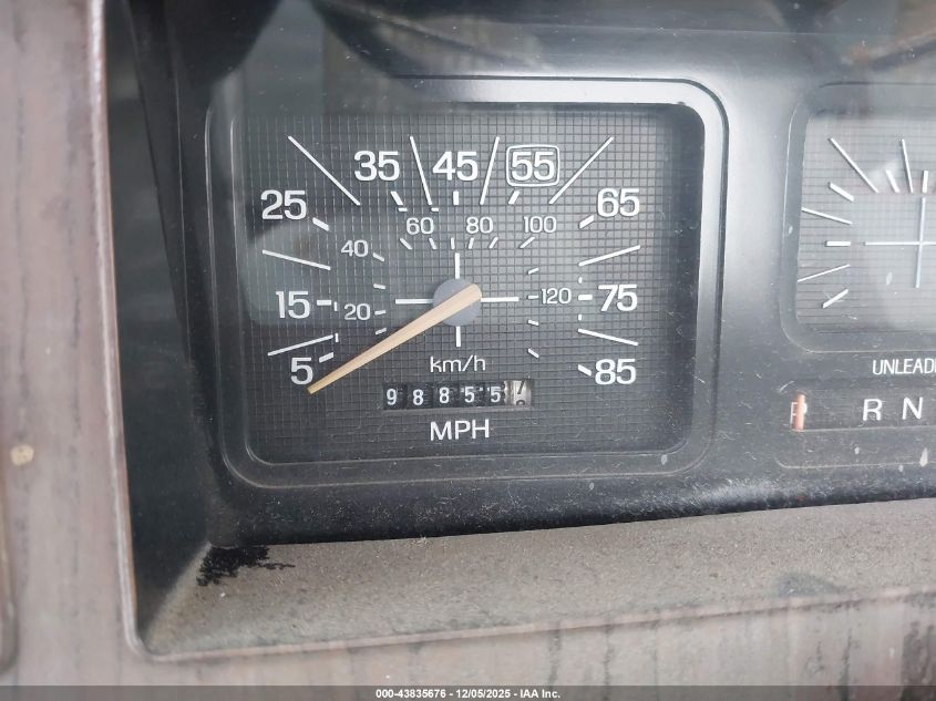 1982 Ford F150 VIN: 1FTEF14FXCPA06361 Lot: 43835676