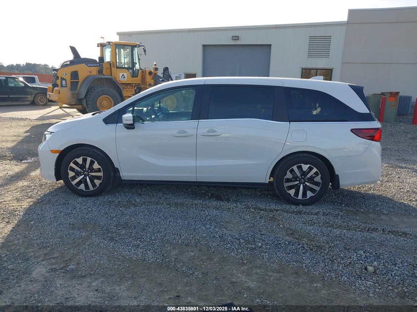 VIN 5FNRL6H63TB016998 2026 HONDA ODYSSEY EX-L