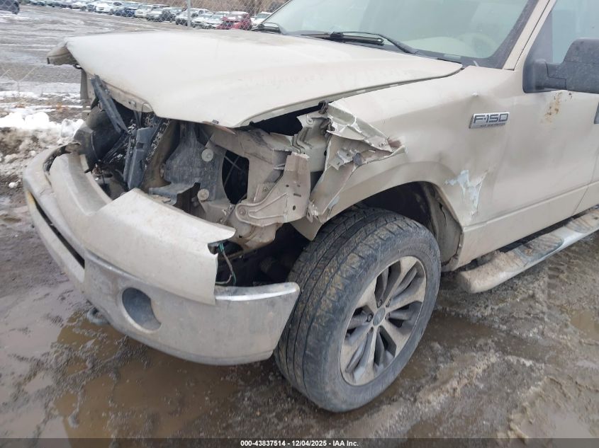 2007 Ford F-150 Fx4/Lariat/Xlt VIN: 1FTPW14V77KC14300 Lot: 43837514