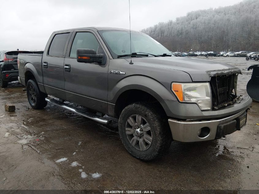 FORD F-150 XL/XLT