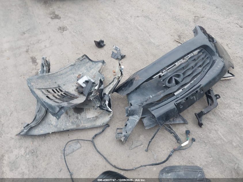 2009 Infiniti Fx50 VIN: JNRBS18W09M200173 Lot: 43837747