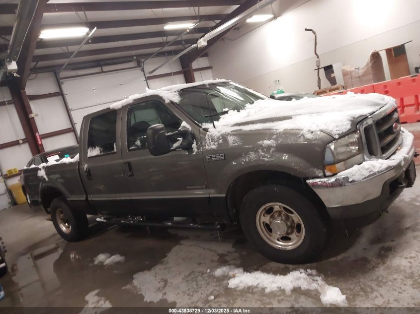 2002 Ford F-250 Lariat/Xl/Xlt VIN: 1FTNW20F22EB67423 Lot: 43838729