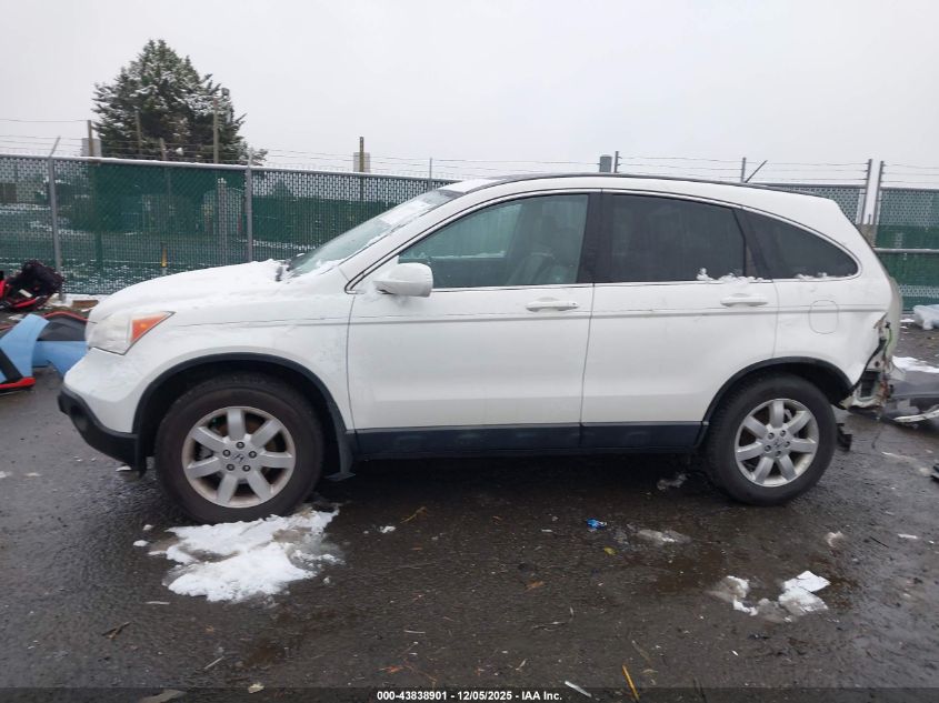 2009 Honda Cr-V Ex-L VIN: 5J6RE387X9L019608 Lot: 43838901
