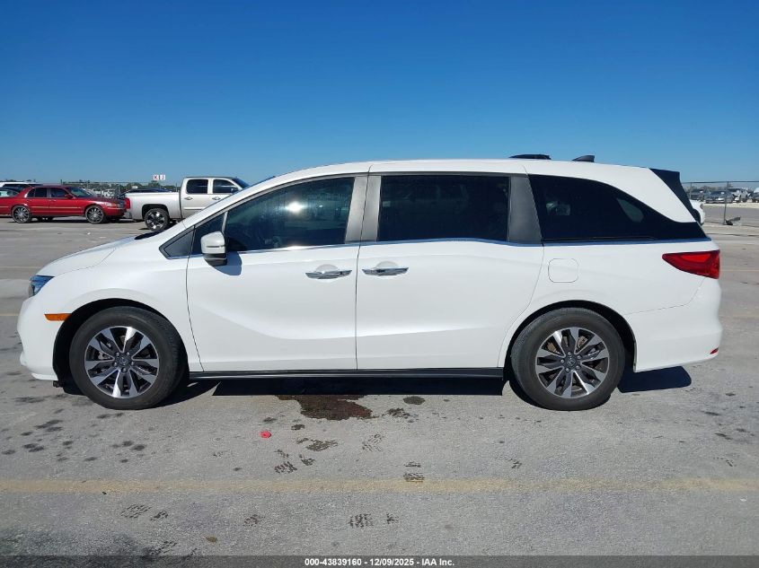 2024 Honda Odyssey Ex-L VIN: 5FNRL6H64RB005050 Lot: 43839160