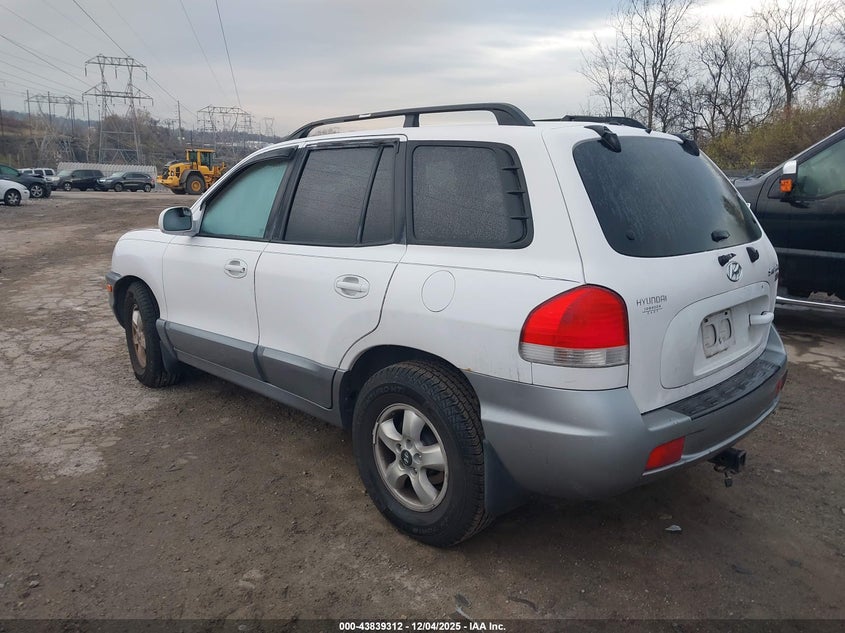 KM8SC13E06U040346 2006 HYUNDAI SANTA FE photo no. 3