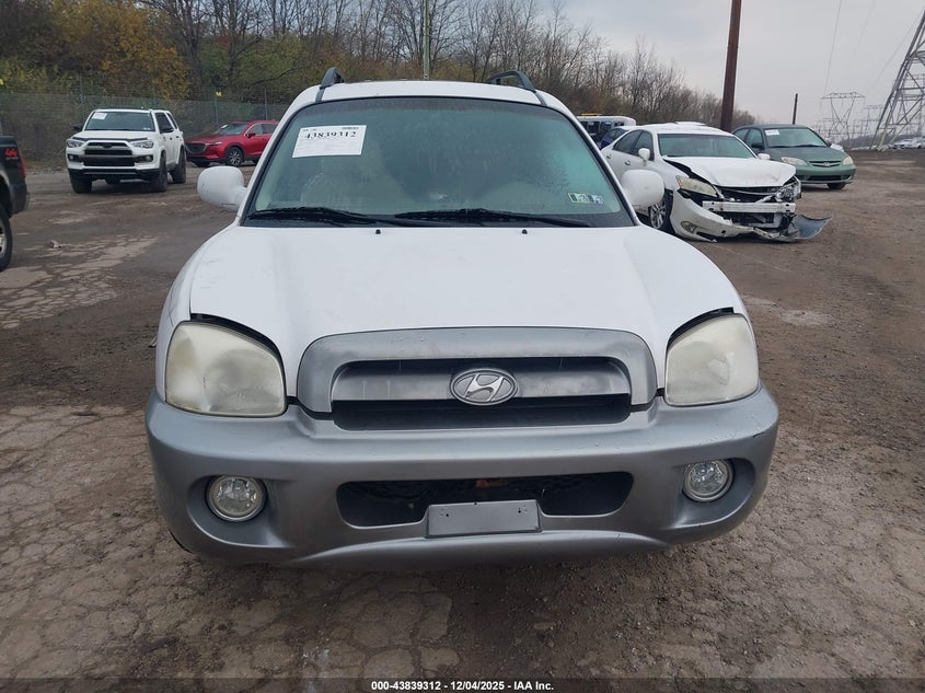 KM8SC13E06U040346 2006 HYUNDAI SANTA FE photo no. 6