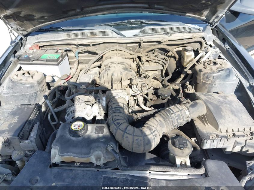 2009 Ford Mustang V6/V6 Premium VIN: 1ZVHT80N995136919 Lot: 43839416