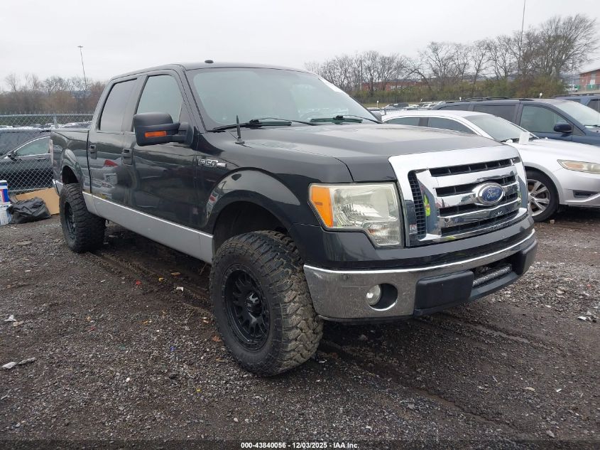 FORD F-150 FX2 SPORT/XL/XLT