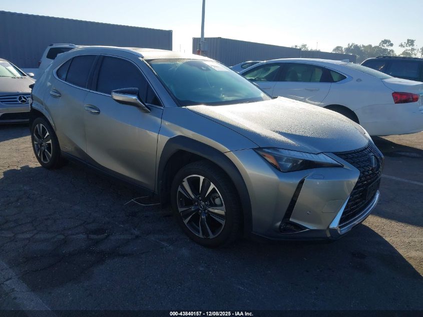 LEXUS UX 250H LUXURY