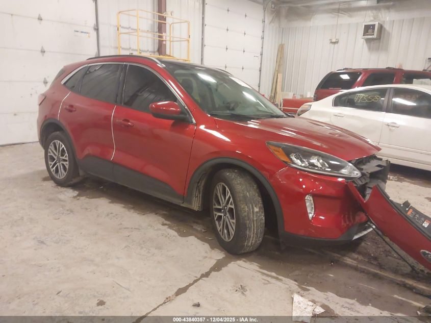 FORD ESCAPE SEL