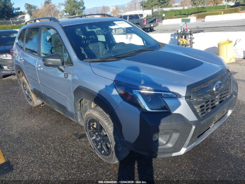 SUBARU FORESTER WILDERNESS