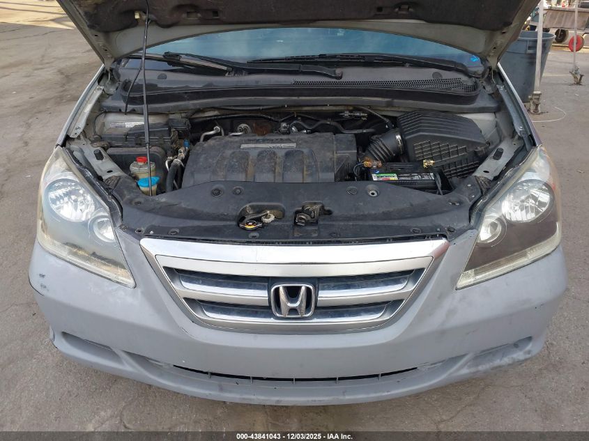 2005 Honda Odyssey Ex-L VIN: 5FNRL38795B056612 Lot: 43841043